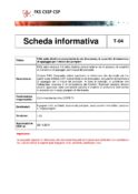 T 04 Informationsblatt IT pdf