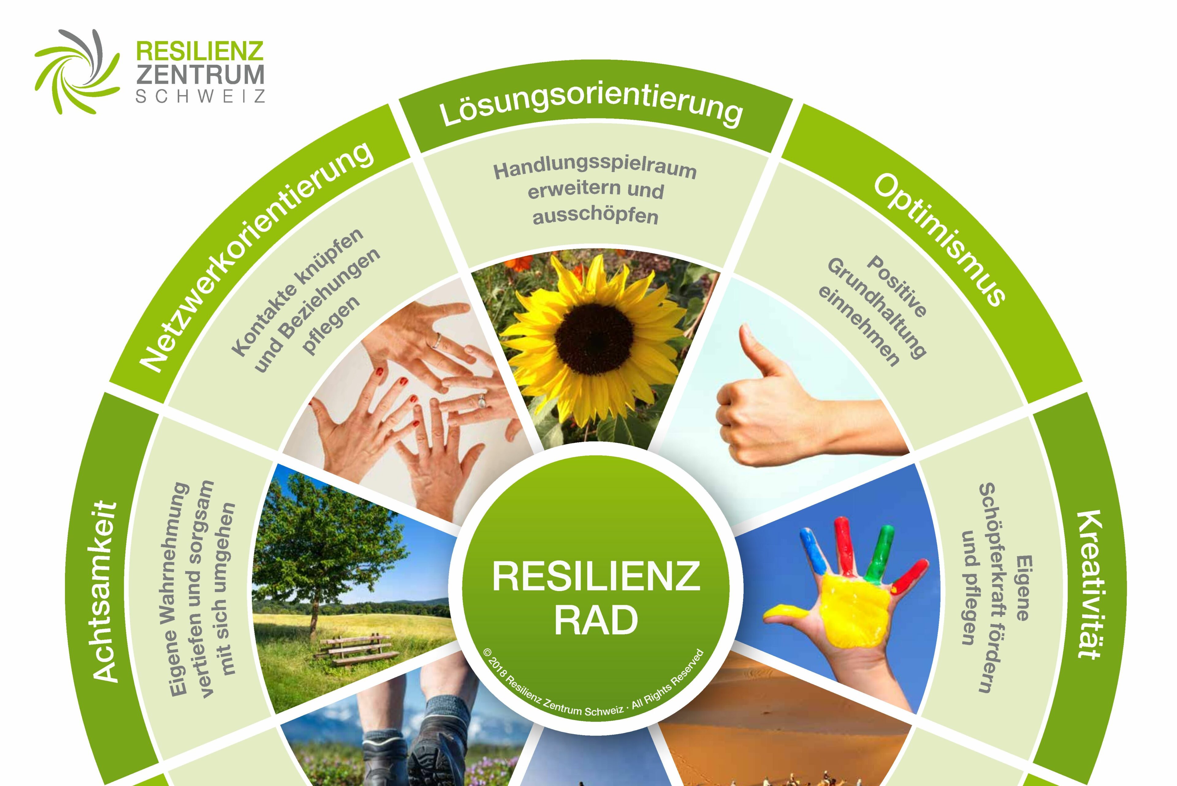 Resilienzrad